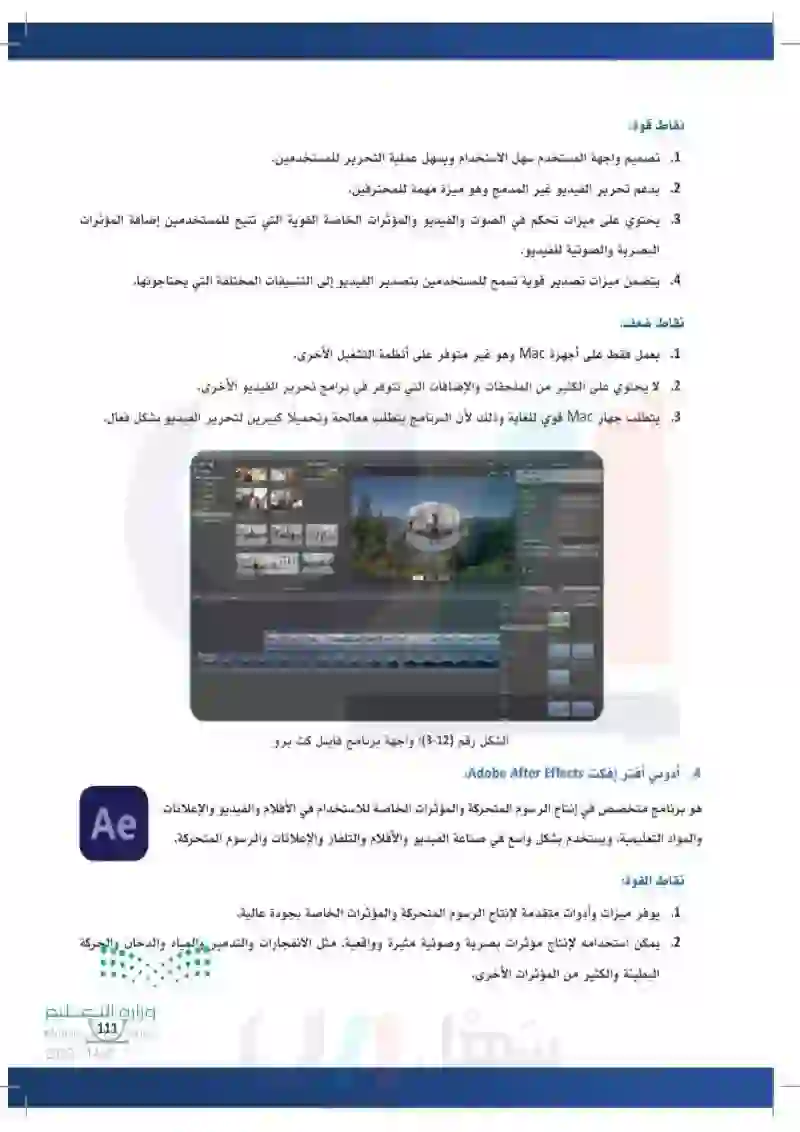 4-3 الإعلانات المتحركة وبرامجها.