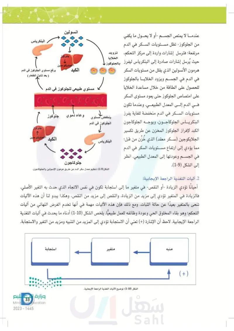 1-3 آليات التحكم بالثبات الداخلي