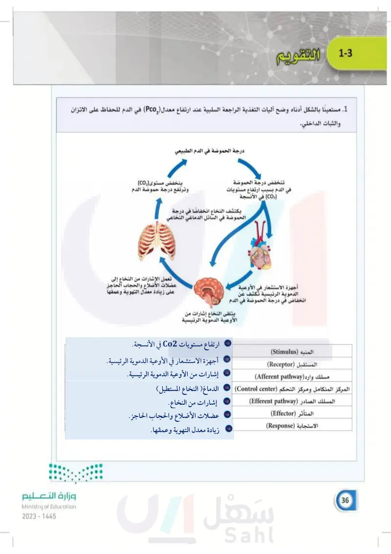 1-3 آليات التحكم بالثبات الداخلي