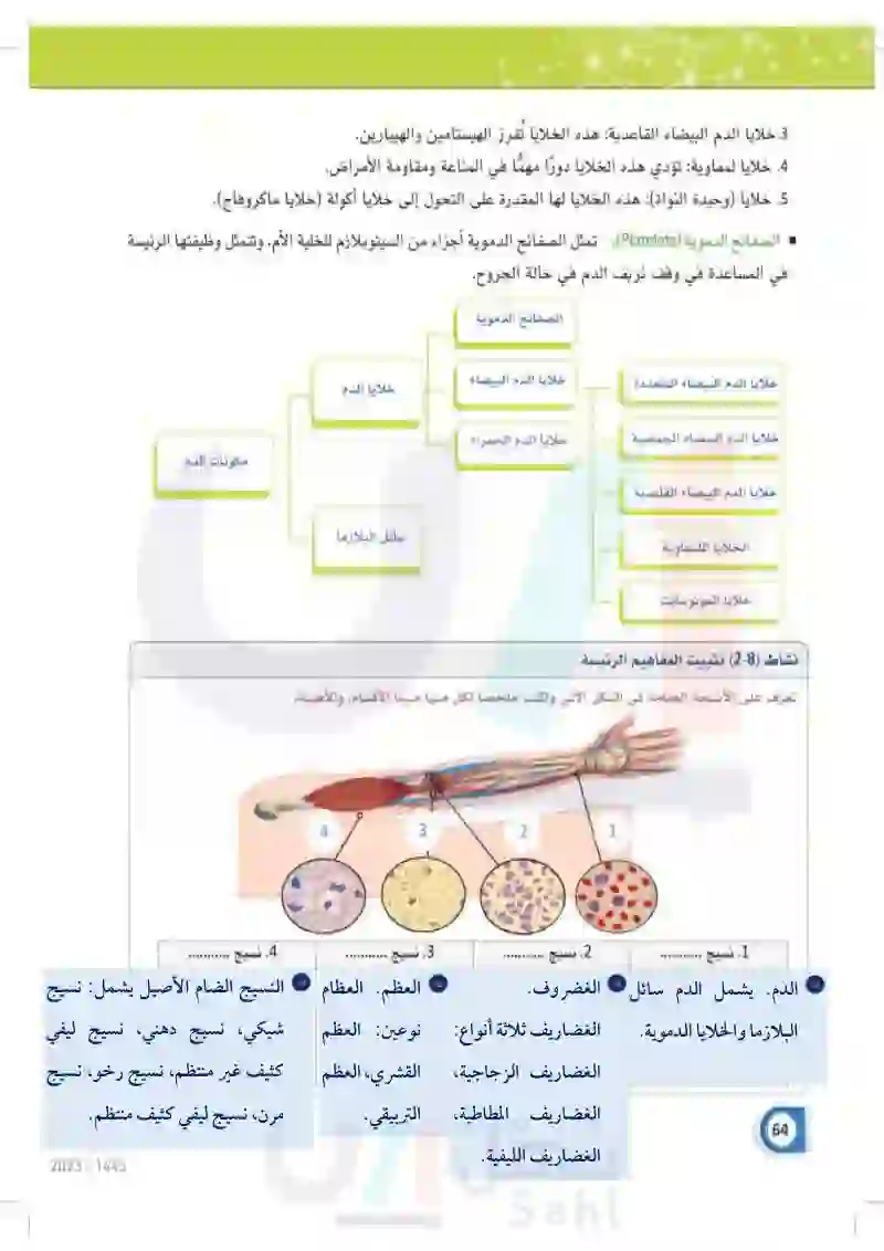 2-2 أنسجة الجسم