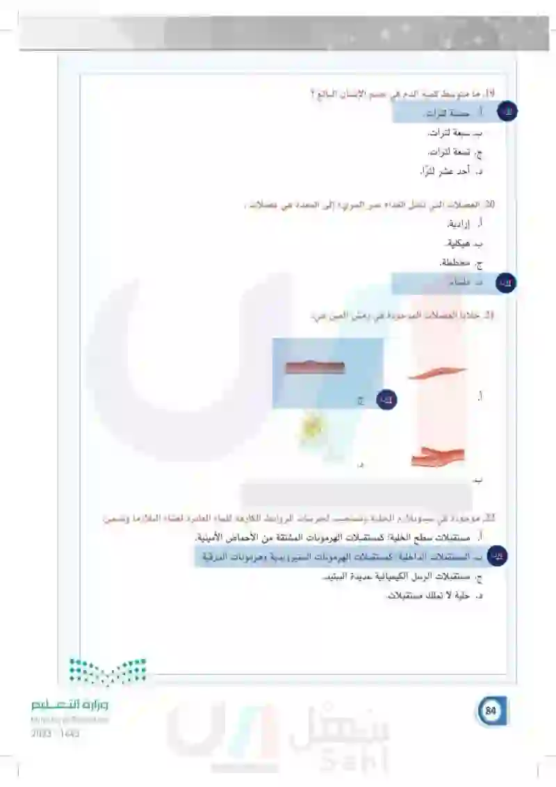 تقويم الفصل الثاني