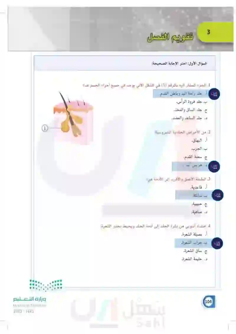 تقويم الفصل الثالث