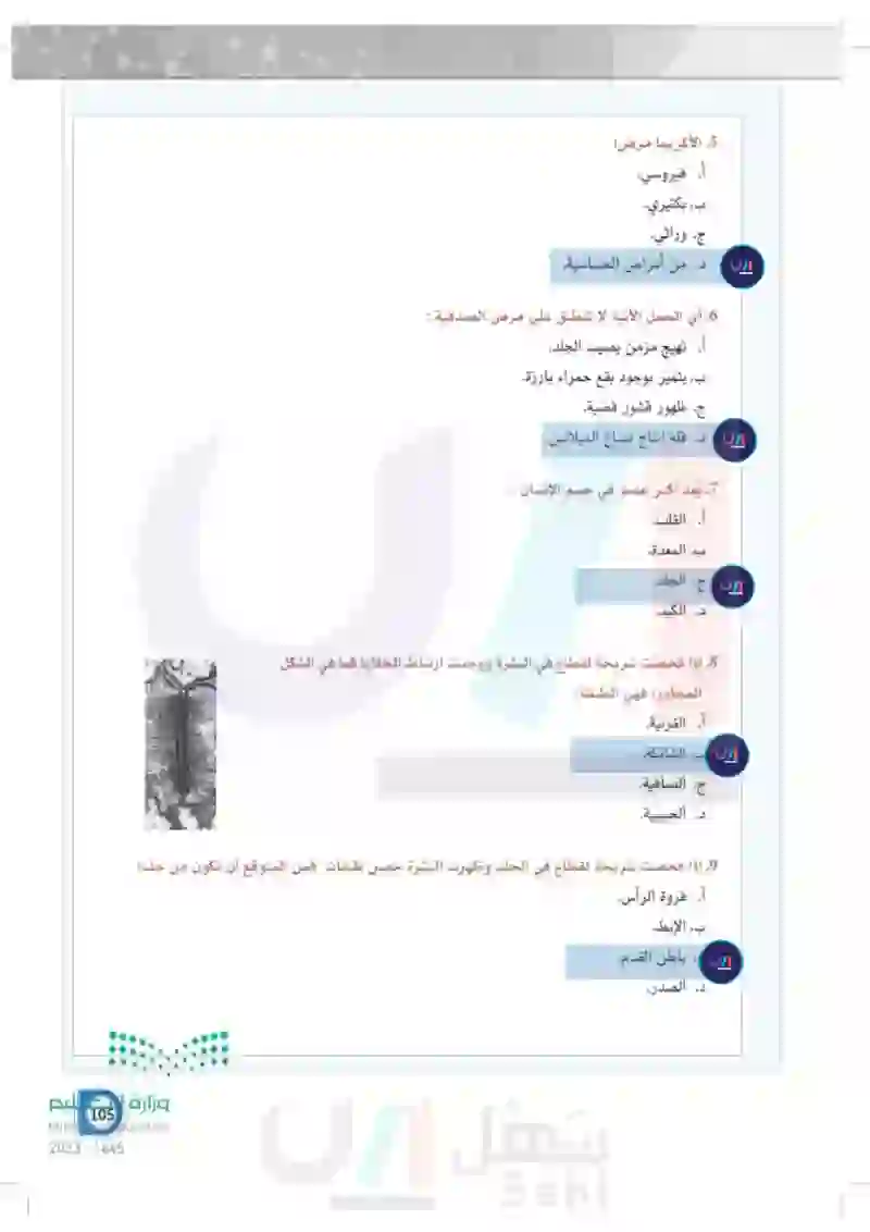 تقويم الفصل الثالث