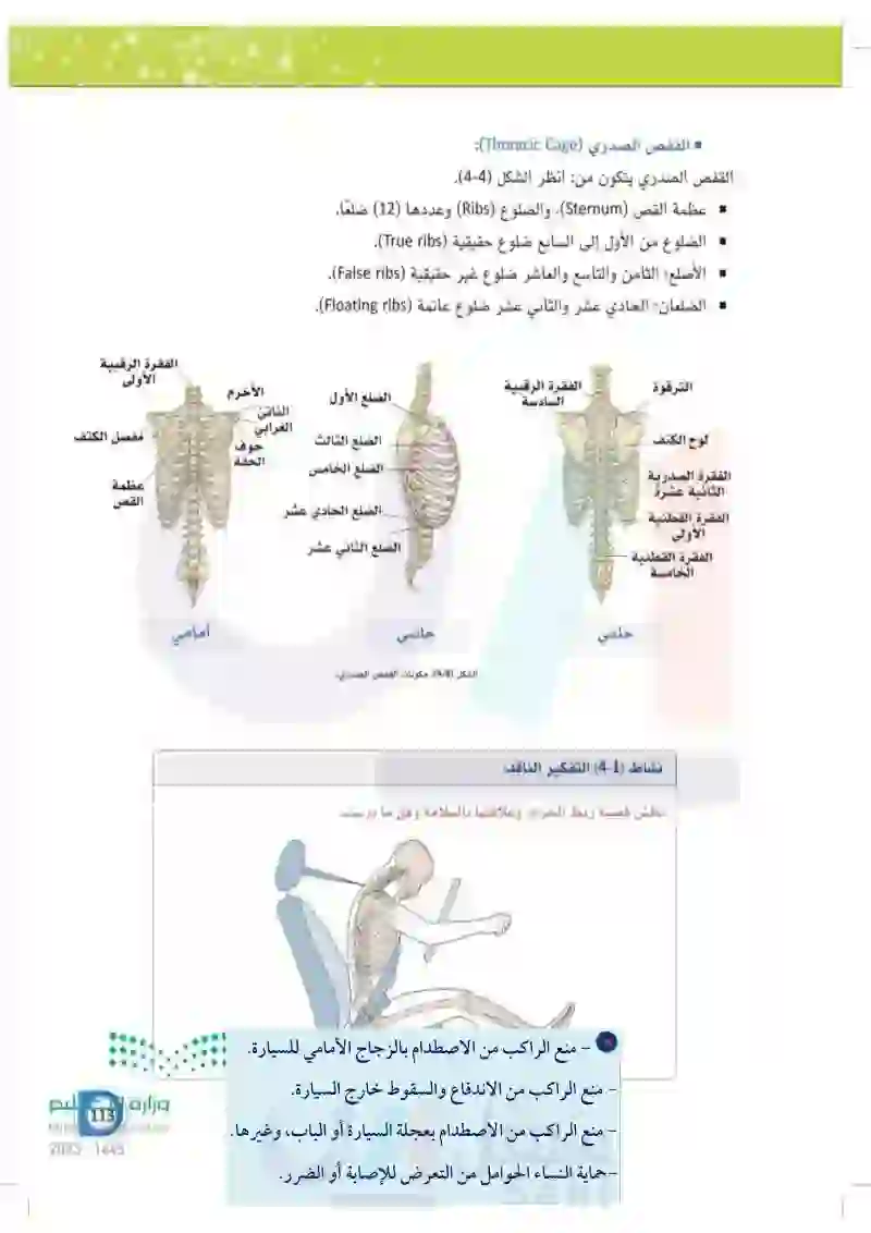4-1 الهيكل العظمي المحوري