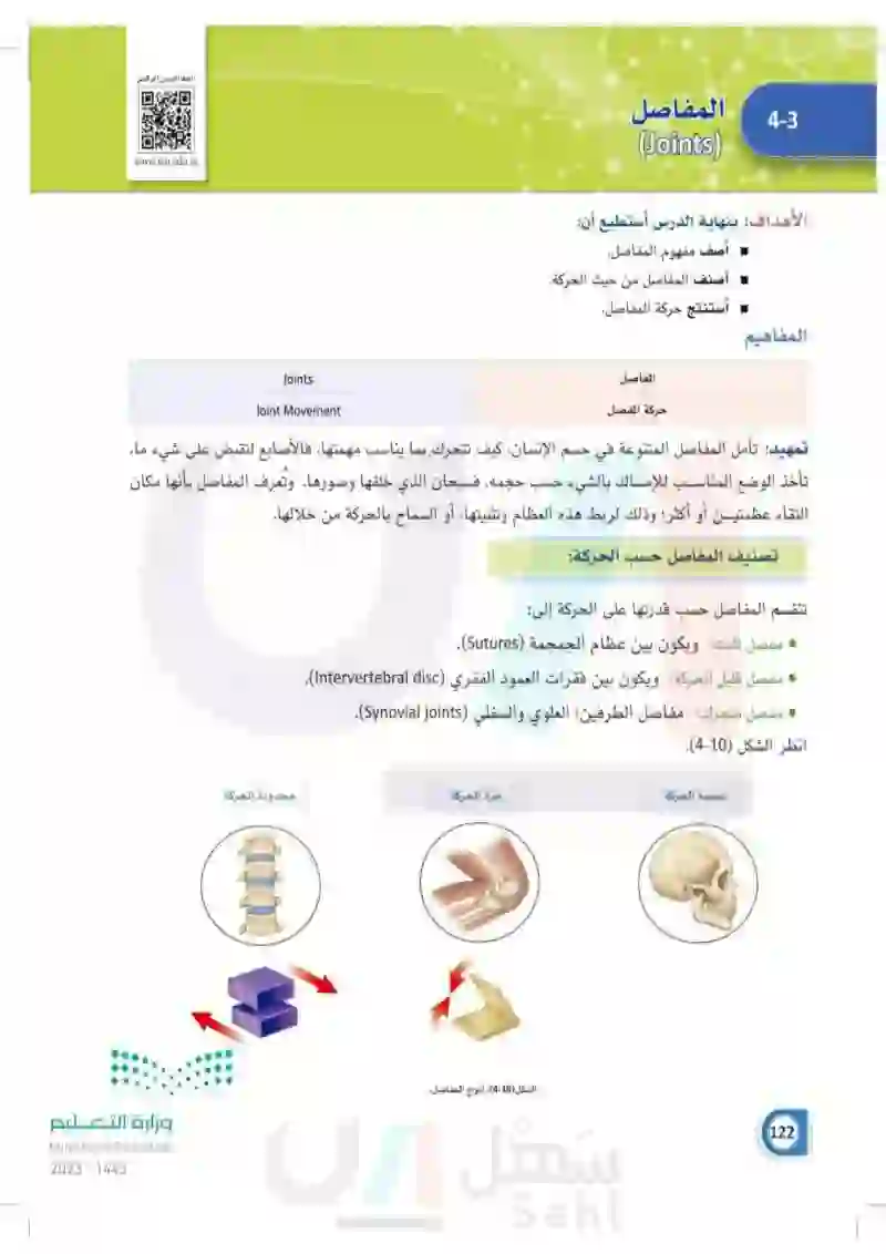 4-3 المفاصل