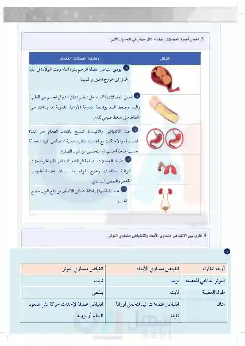 5-1 أنواع العضلات في جسم الإنسان