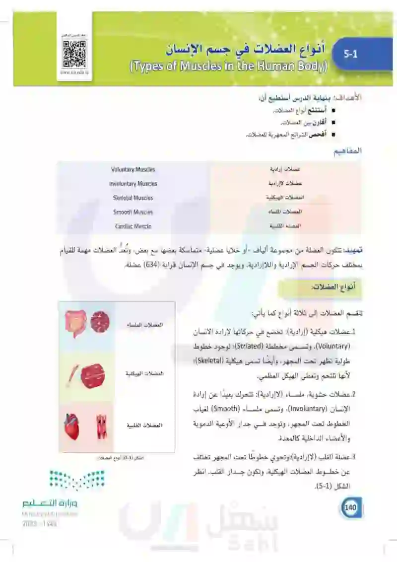 5-1 أنواع العضلات في جسم الإنسان