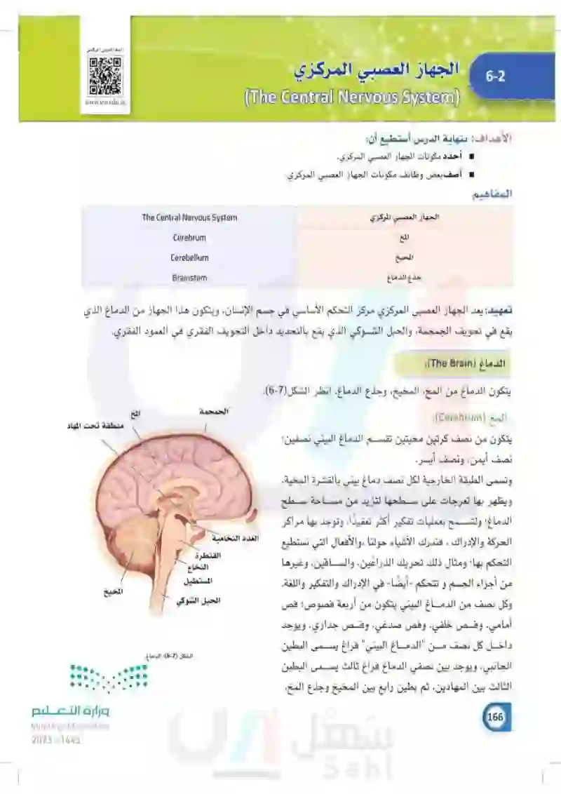 6-2 الجهاز العصبي المركزي