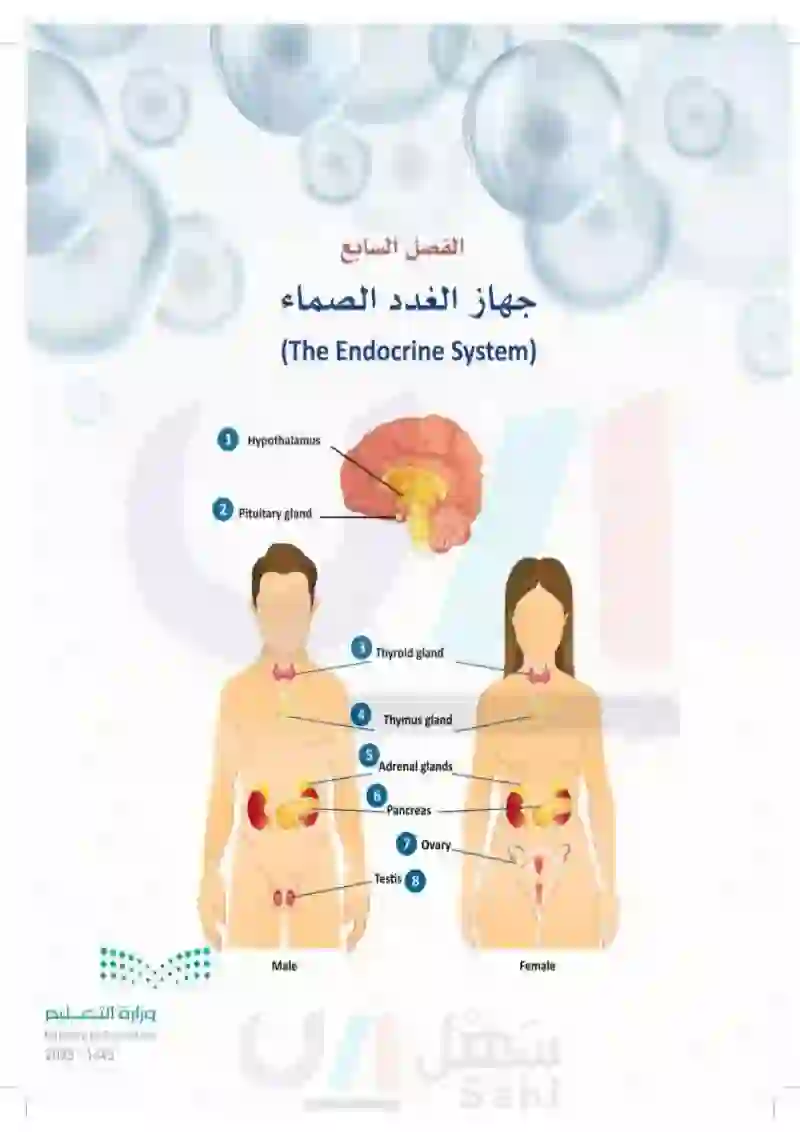 7-1 علم الغدد الصماء