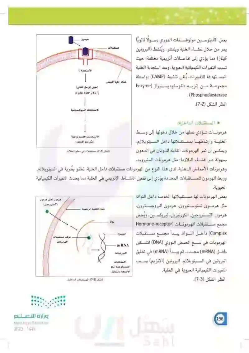 7-1 علم الغدد الصماء