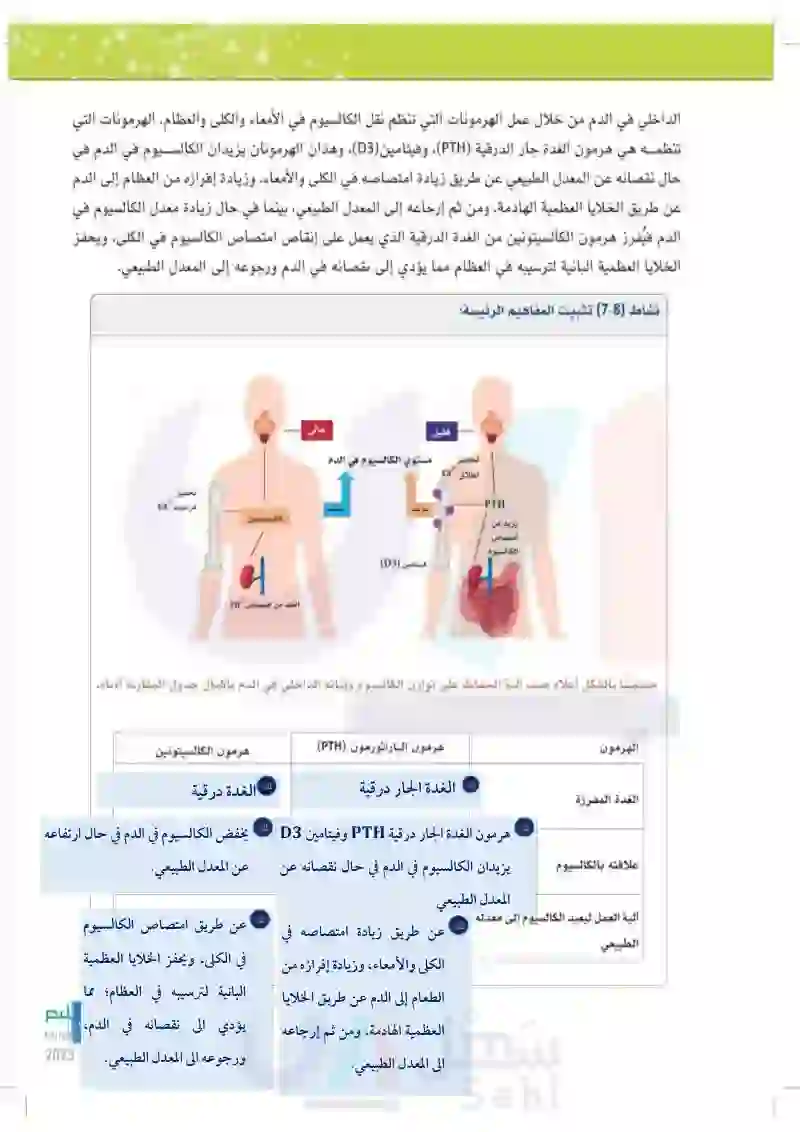 7-3 الغدة الدرقية وجار الدرقية والصنوبرية