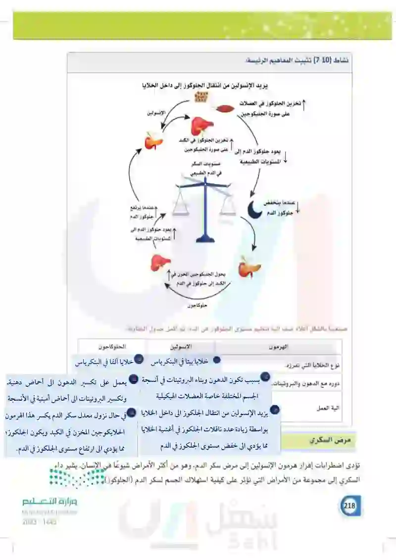 7-4 البنكرياس