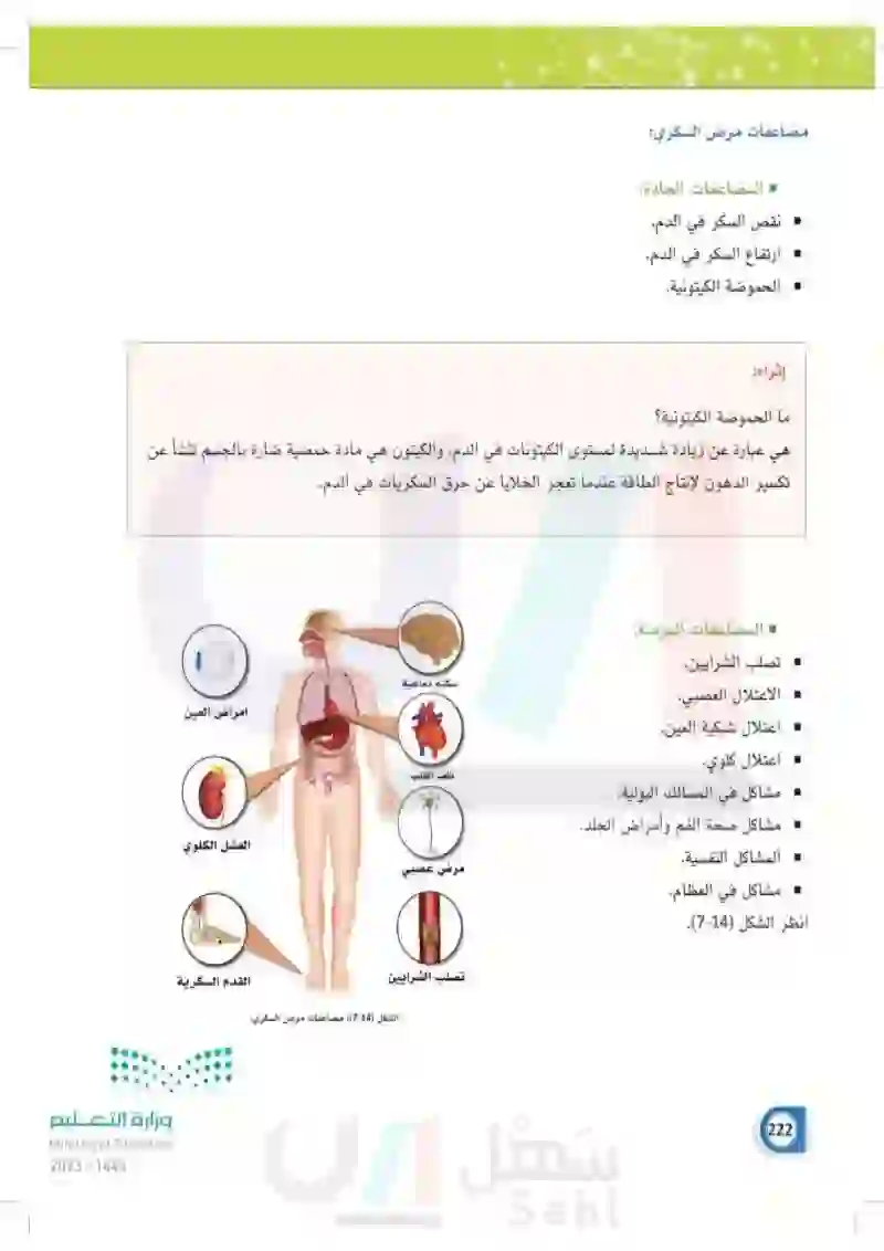 7-4 البنكرياس