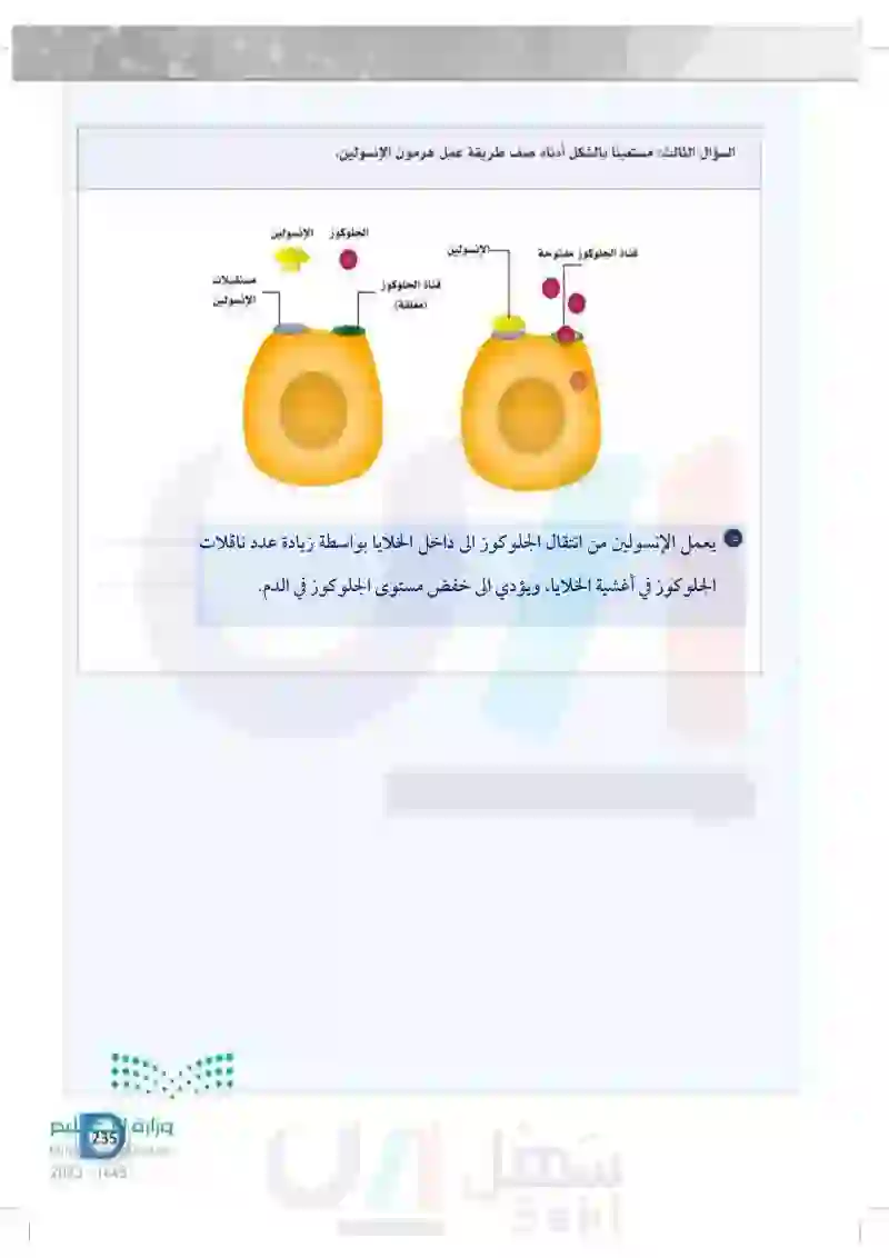 تقويم الفصل السابع