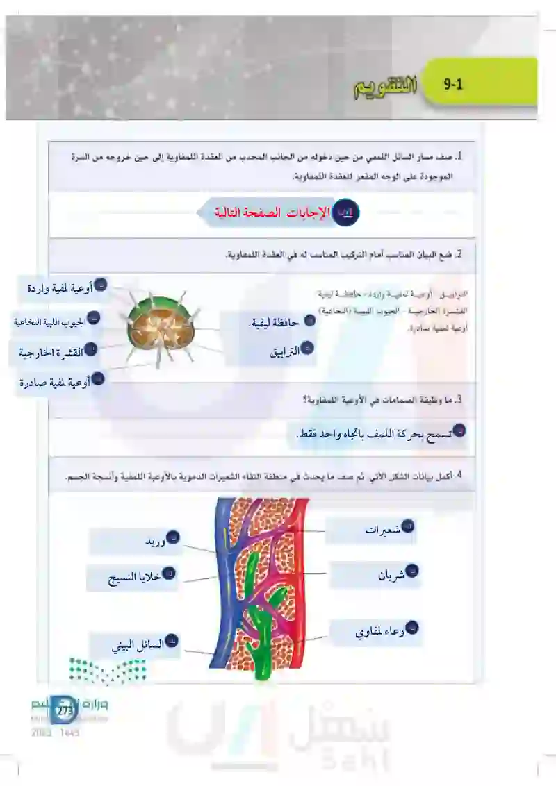 9-1 مكونات الجهاز اللمفاوي