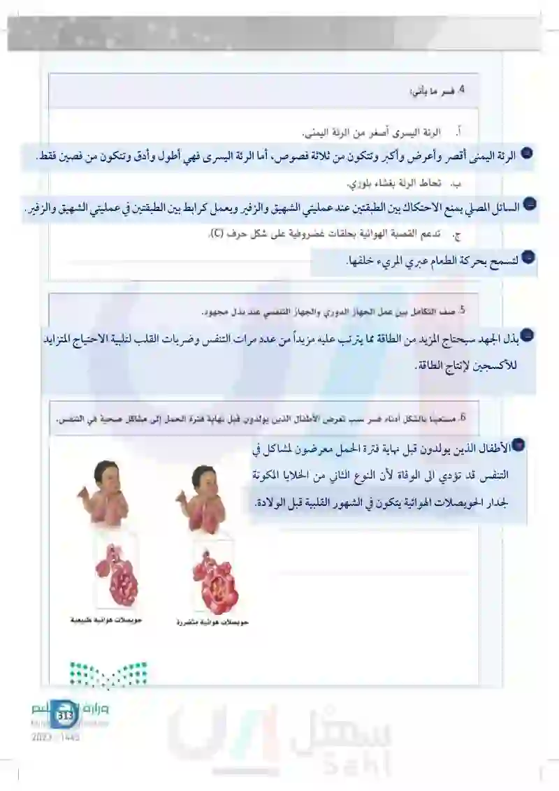 10-1 التركيب الوظيفي للجهاز التنفسي