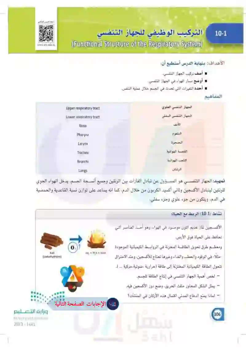 10-1 التركيب الوظيفي للجهاز التنفسي