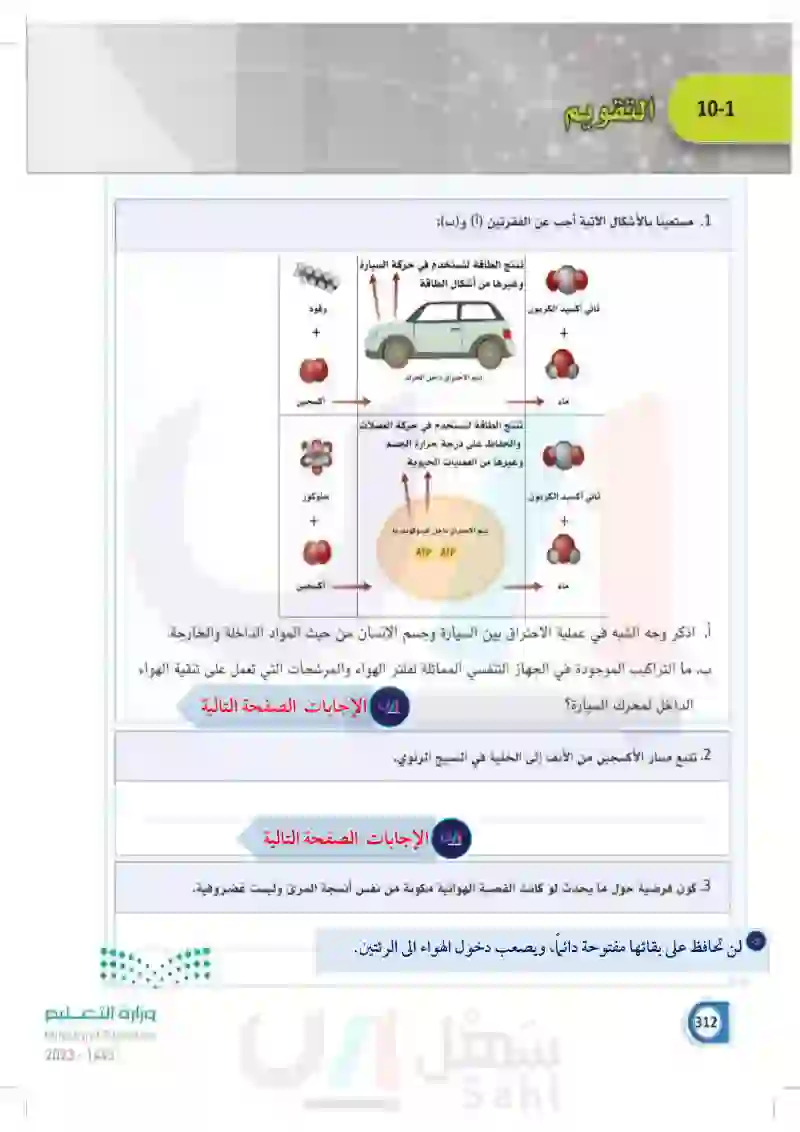 10-1 التركيب الوظيفي للجهاز التنفسي