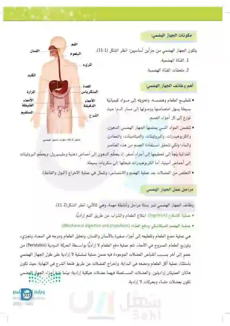 11-1 الجهاز  الهضمي