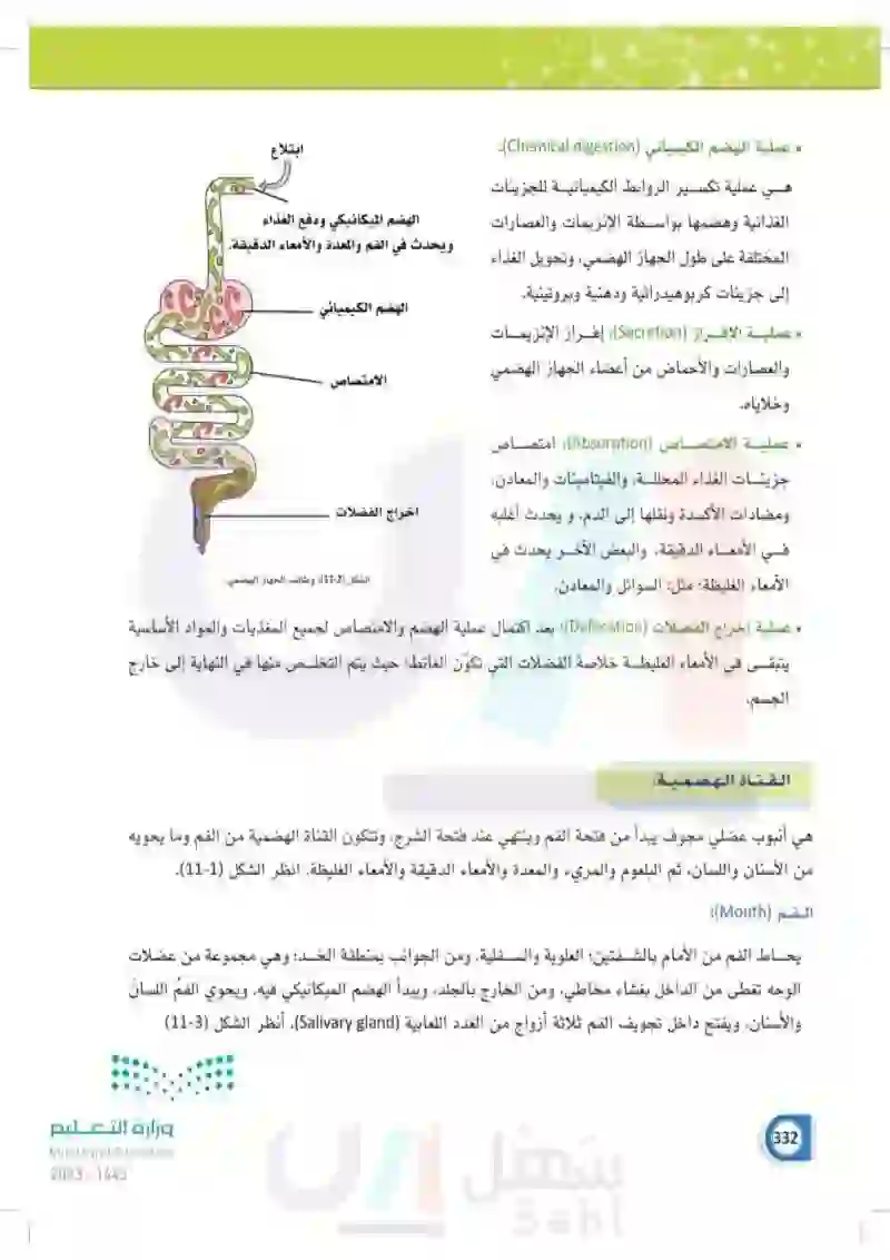 11-1 الجهاز  الهضمي