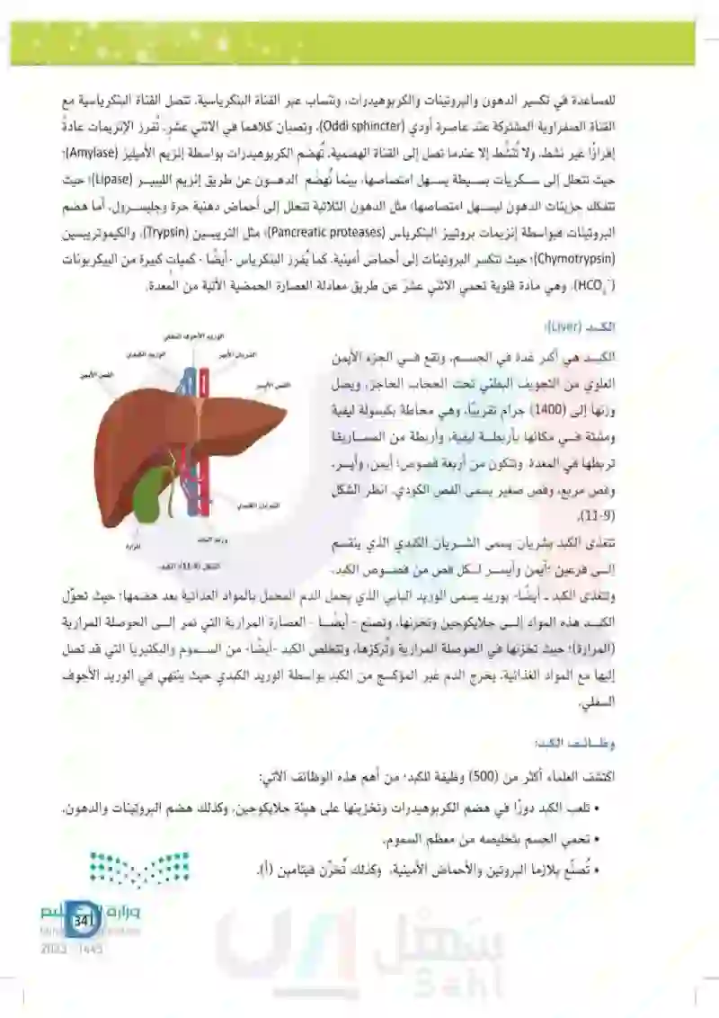 11-2 ملحقات القناة الهضمية