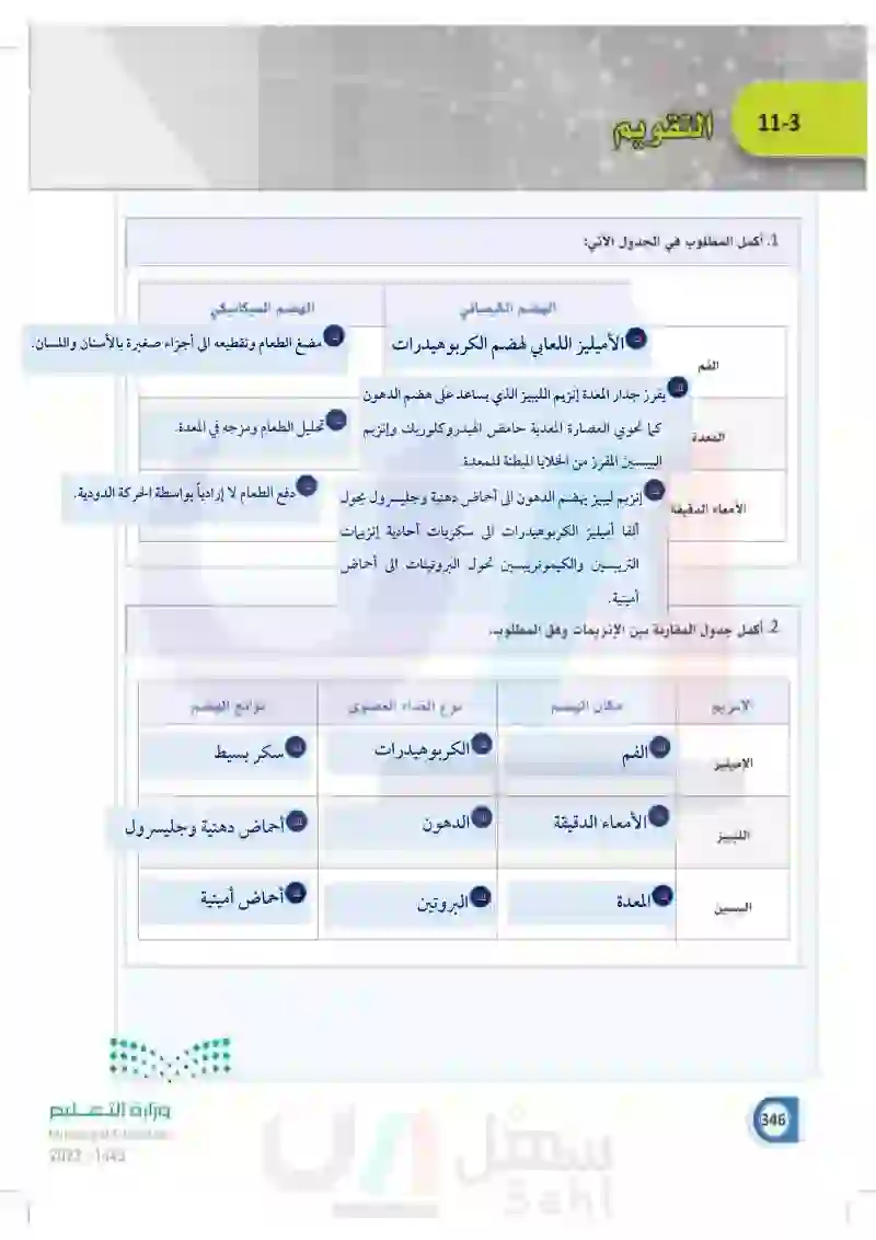 11-3 هضم المواد المغذية