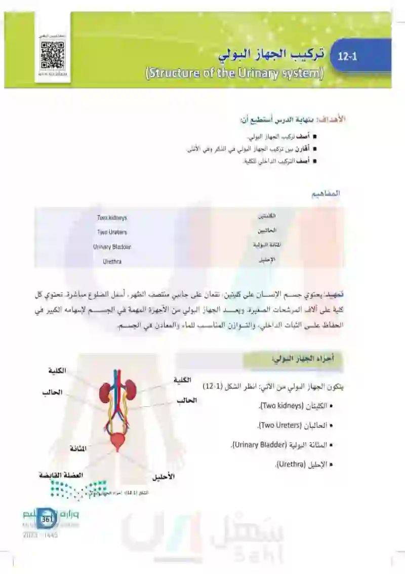 12-1 تركيب الجهاز البولي