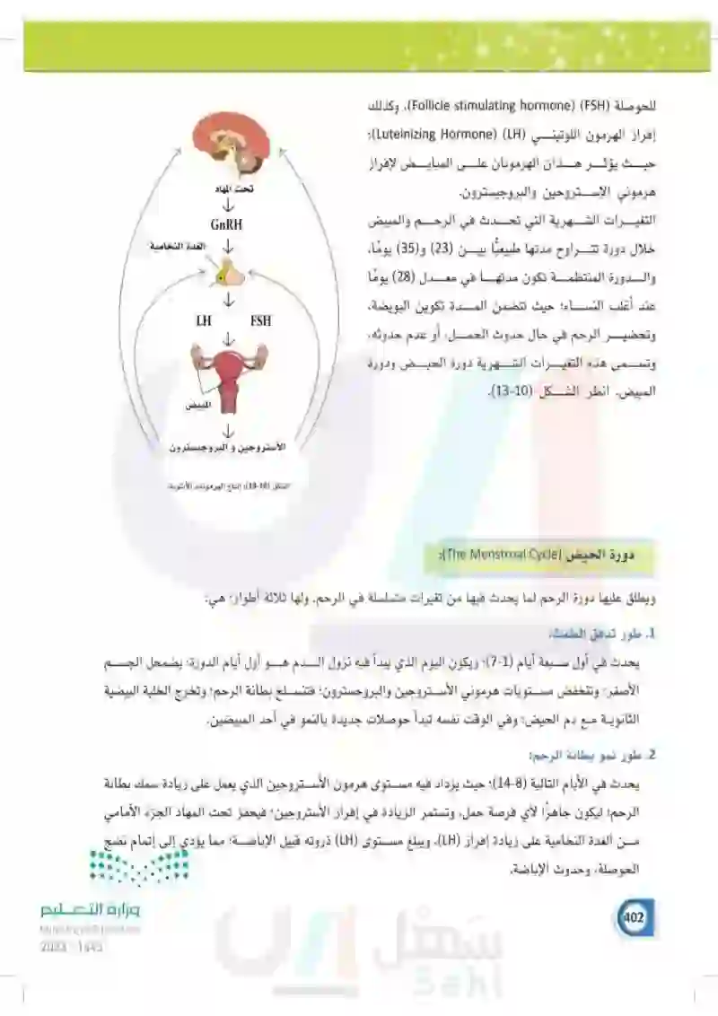 13-4 وظائف الجهاز التناسلي الأنثوي