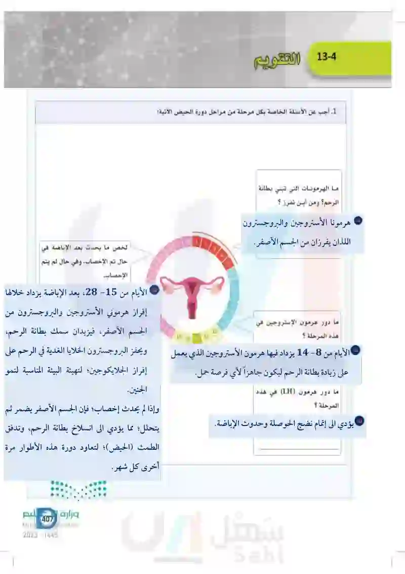 13-4 وظائف الجهاز التناسلي الأنثوي