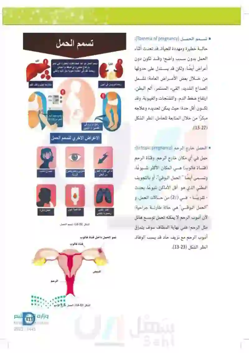 13-5 الأمراض الأكثر شيوعاً في الجهاز التناسلي