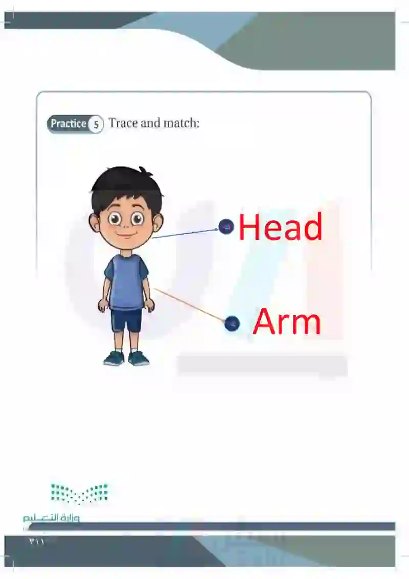 Lesson One: My Body (Head- Arm)