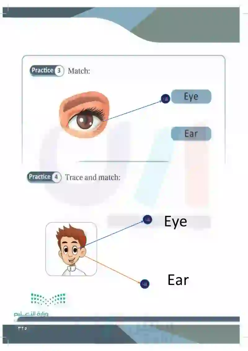 Lesson Six: My Body (Eye- Ear)