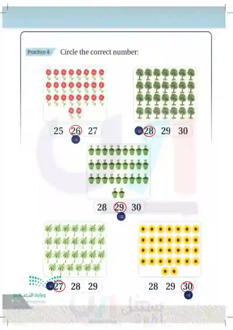 Lesson Two: Numbers(21-30)