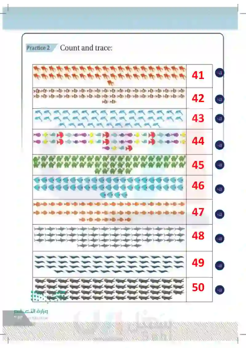 Lesson Twelve: Numbers (41-50) TOA