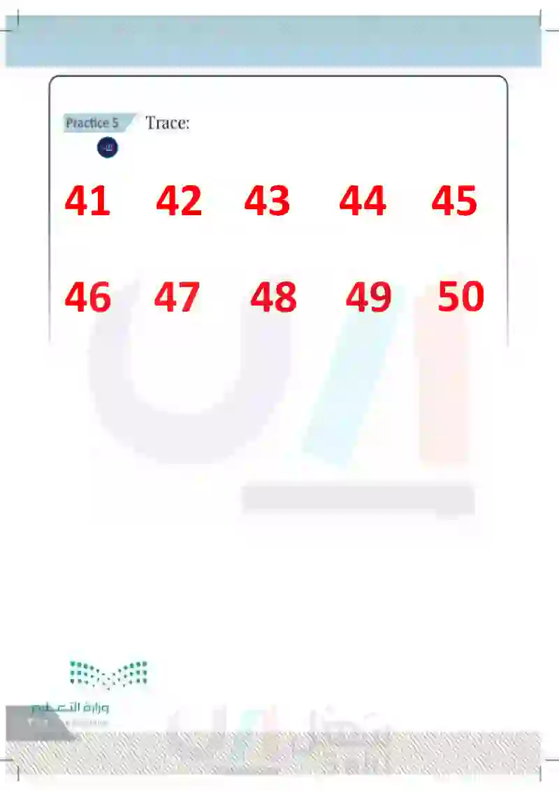 Lesson Twelve: Numbers (41-50) TOA