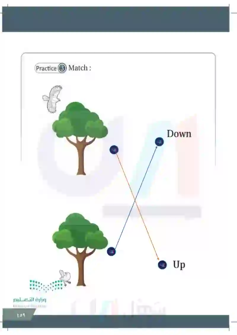 Lesson five: Adjectives(Up-Down)