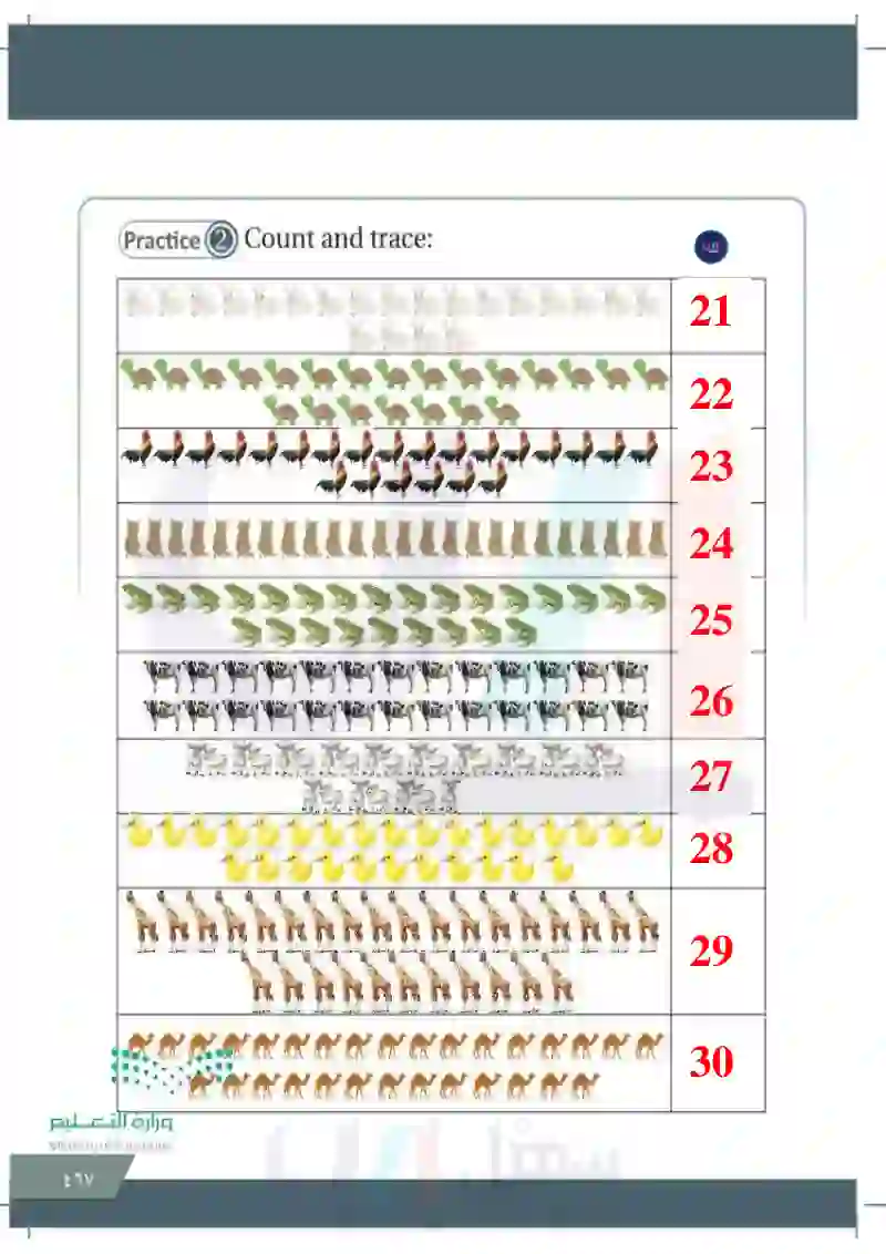 Lesson seven: Numbers (21-30)