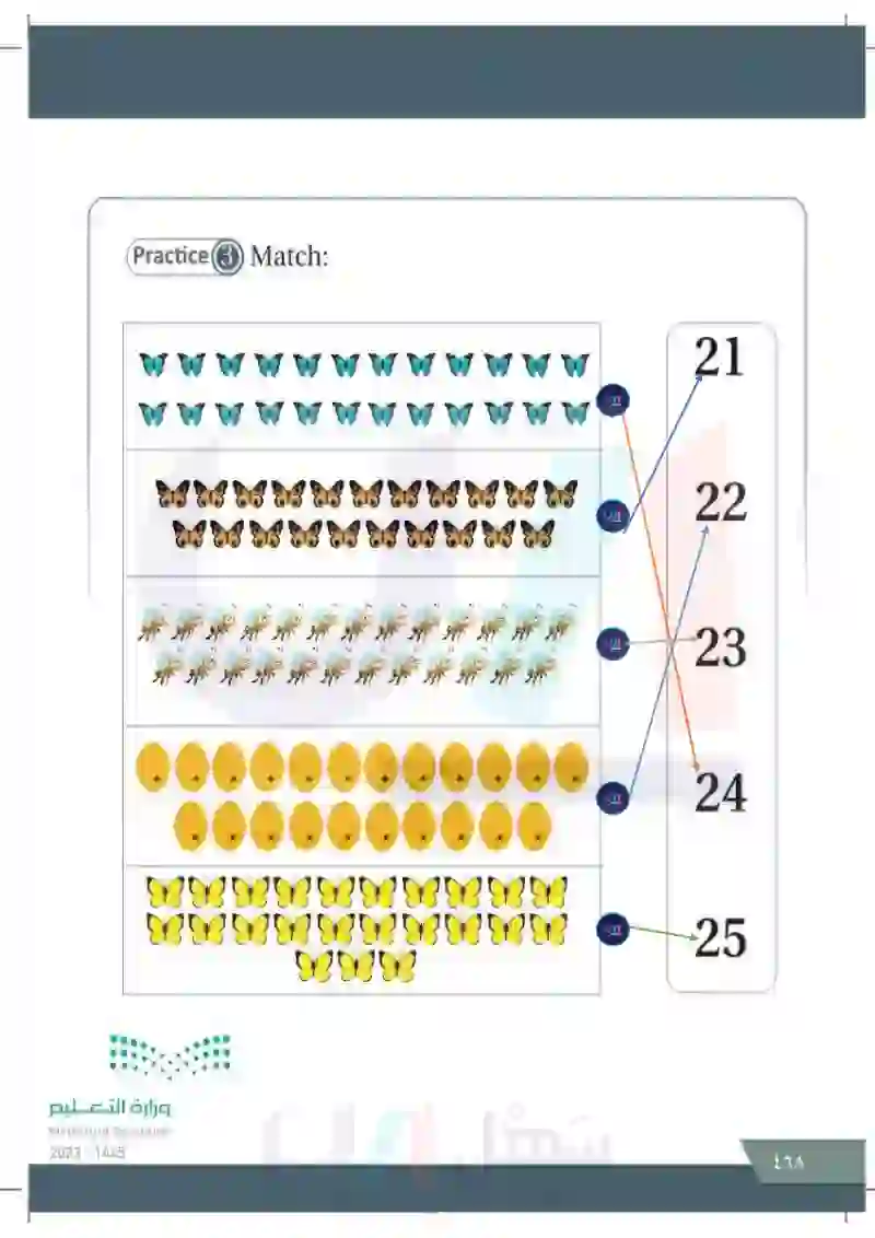 Lesson seven: Numbers (21-30)