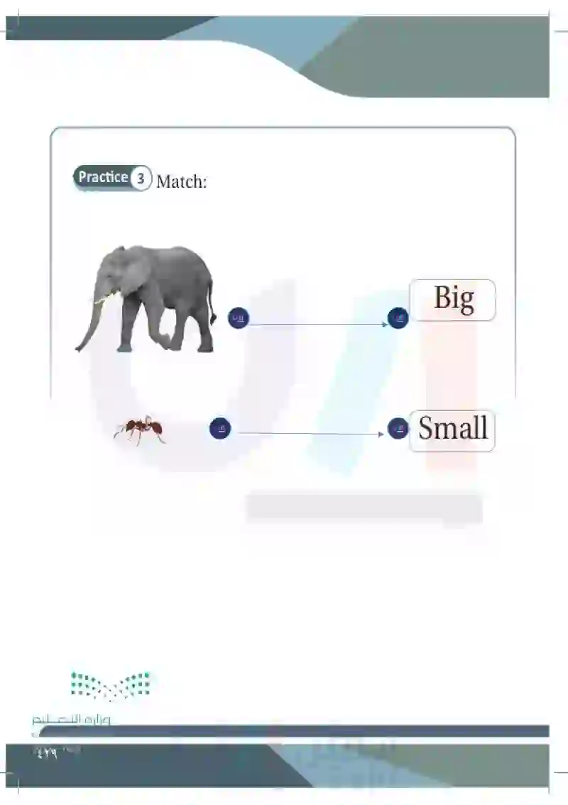 Lesson Five: Adjectives (Big- small)