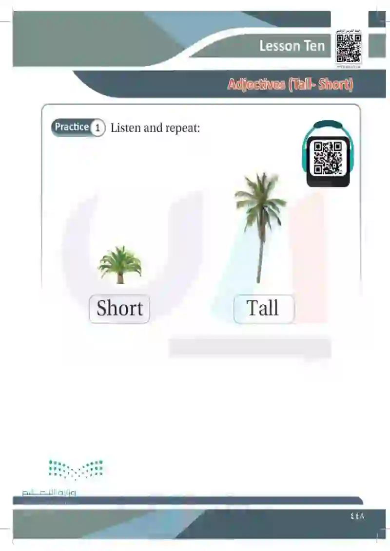 Lesson Ten: Adjectives (Tall- Short)