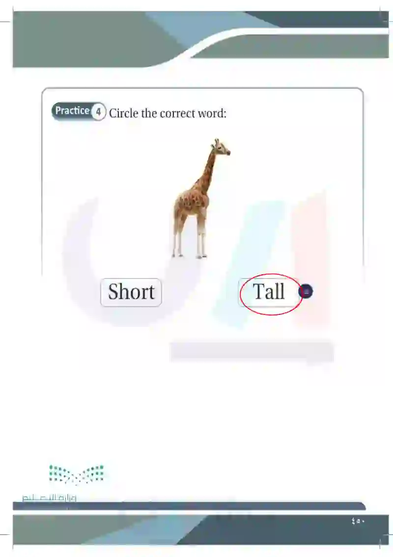 Lesson Ten: Adjectives (Tall- Short)