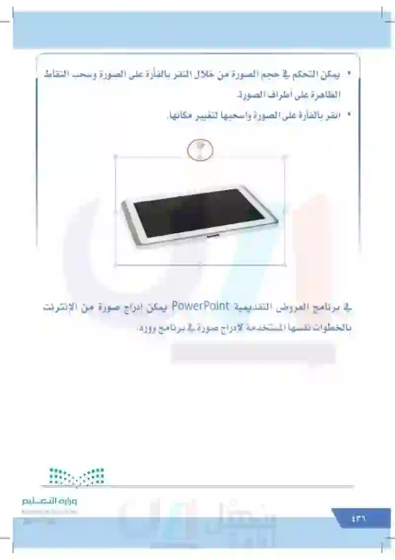 الدرس الرابع عشر: إدراج صورة من الإنترنت (برنامج معالج النصوص Word / برنامج العروض التقديمية Powerpoint)