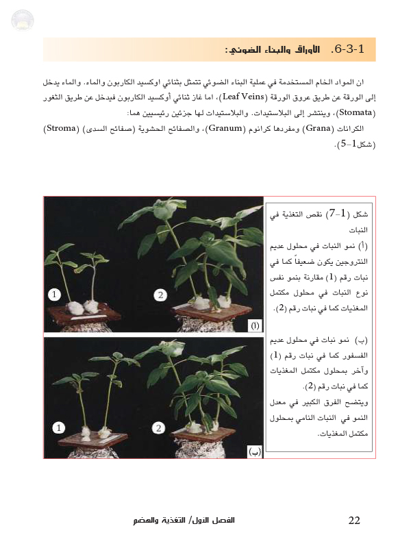 1-3 التغذية في النباتات