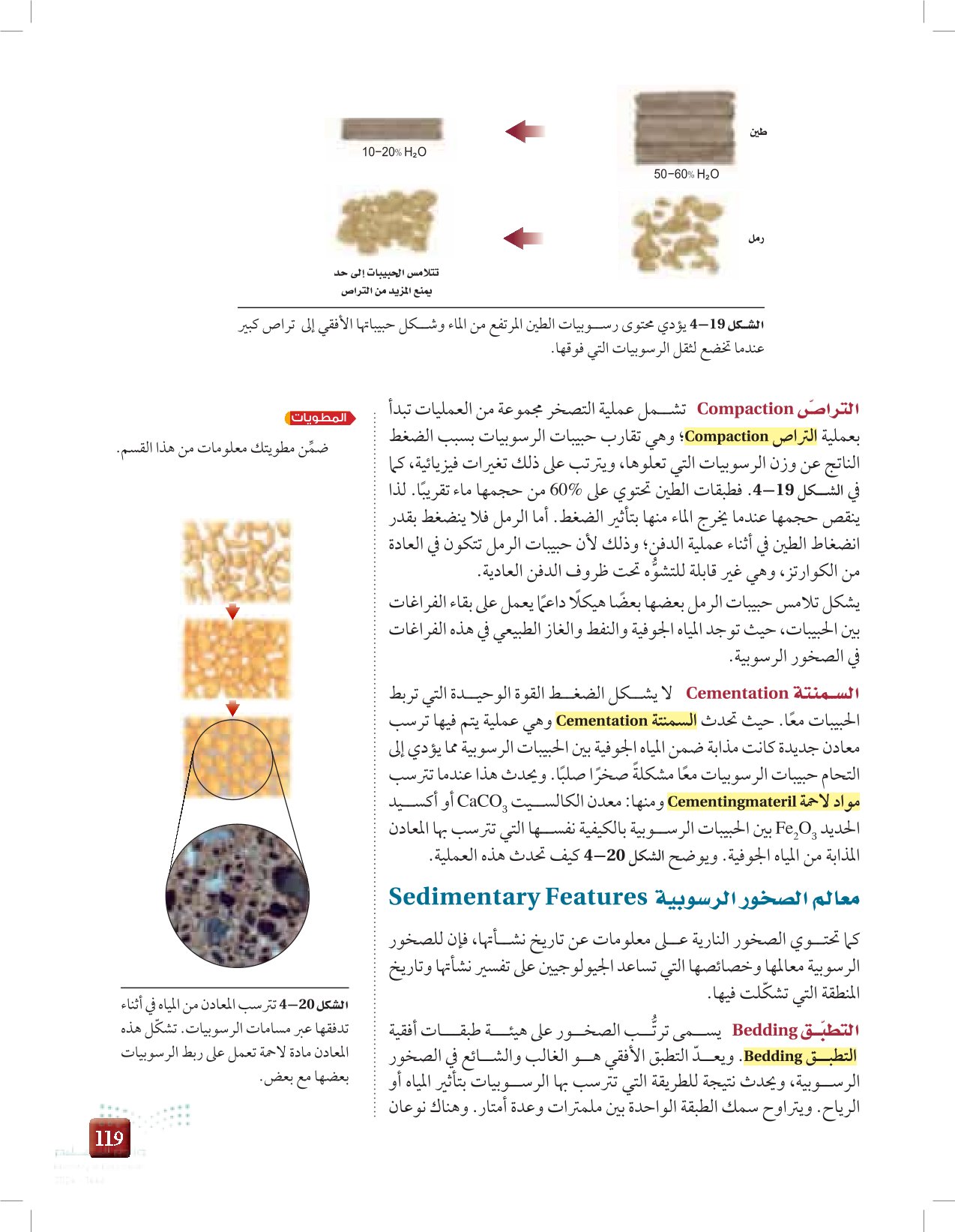 4-3: تشكل الصخور الرسوبية