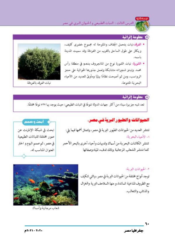 الدرس الثالث: النبات الطبيعي والحيوان البري في مصر