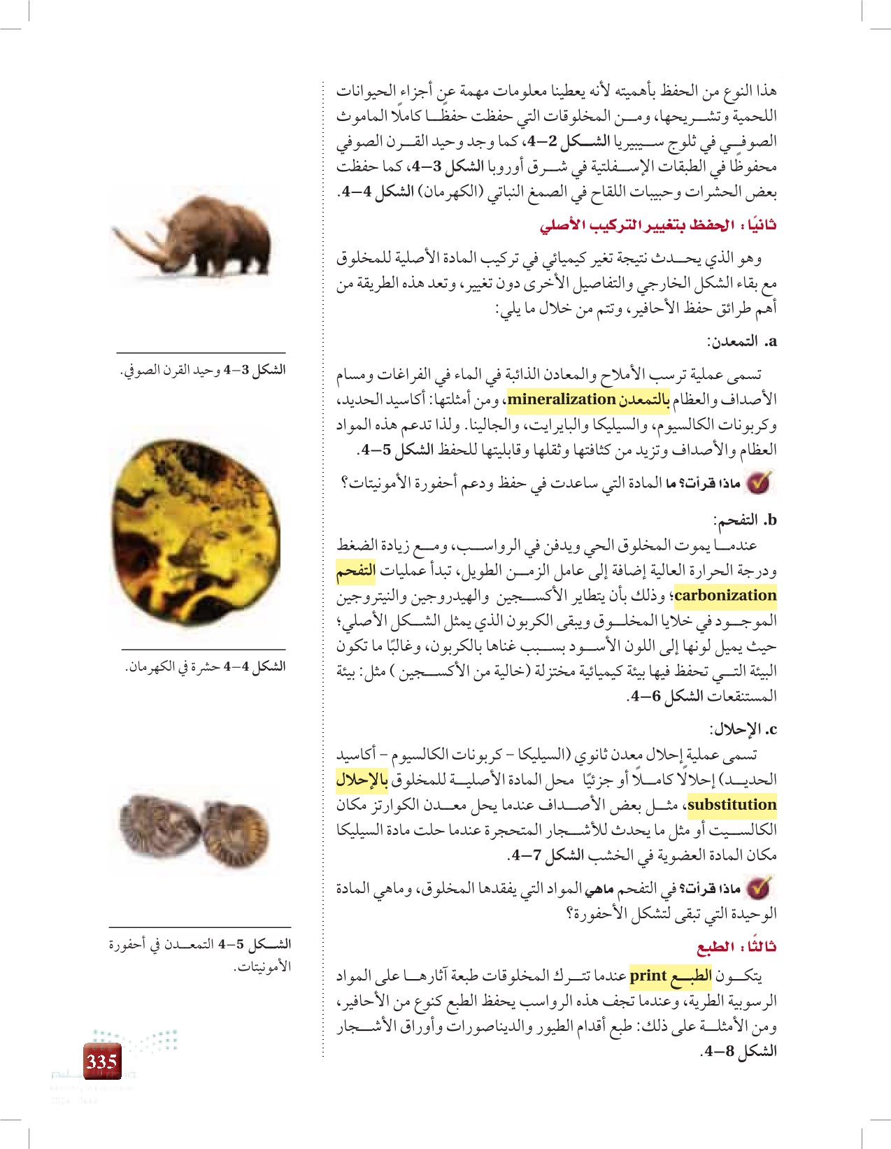 4-2: طرق حفظ الأحافير وأهميتها