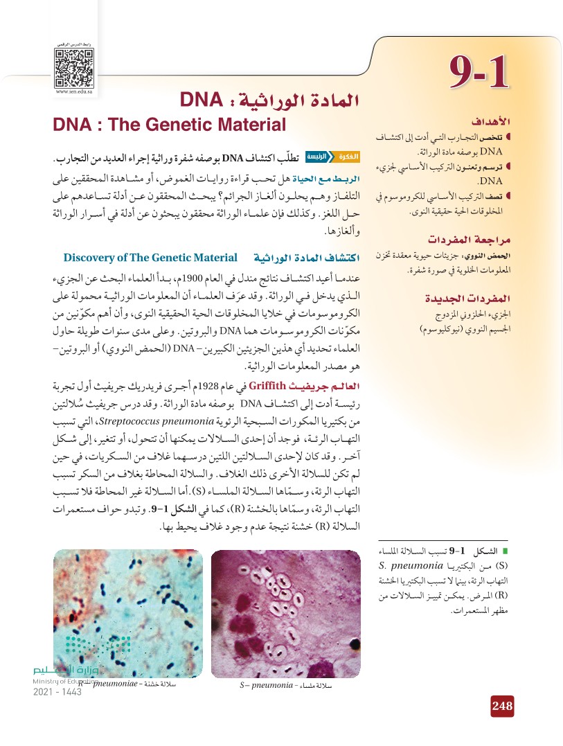 9-1 المادة الوراثية: DNA