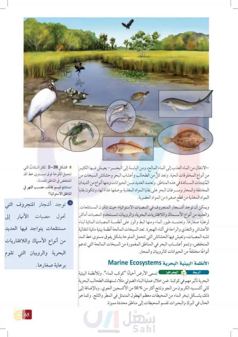 2-3: الأنظمة البيئية المائية