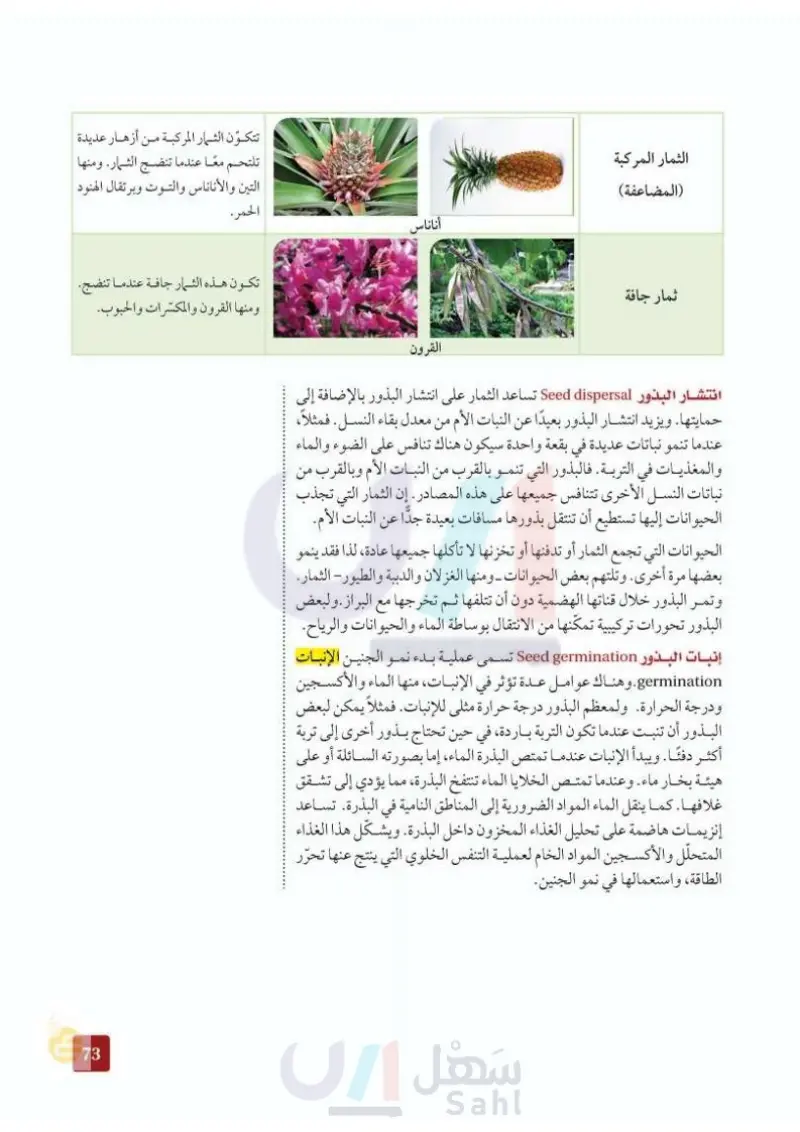 7-2 النباتات الزهرية
