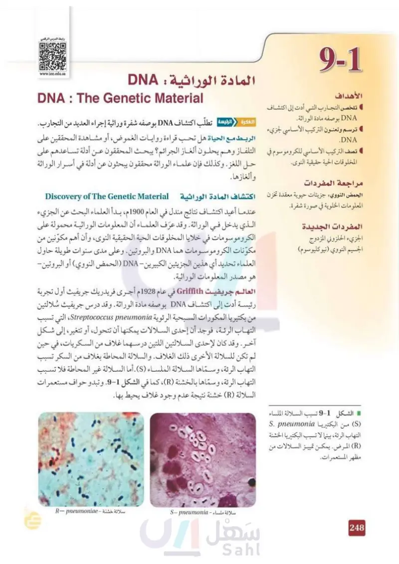 6-1 المادة الوراثية: DNA